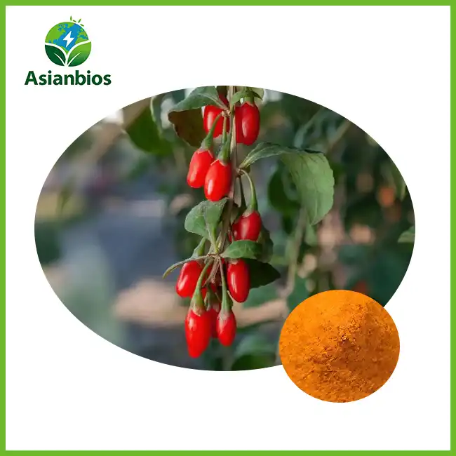 Wolfberry Fruit Powder